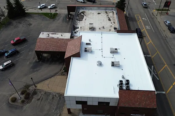 491404934 1577196640363480 8385441177223996772 N