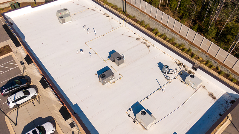 Home Page Small Buz Hero Gettyimages 2241816005